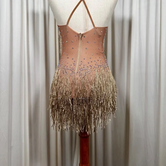 Ballroom Latin Salsa Dress - Picture 3 of 5